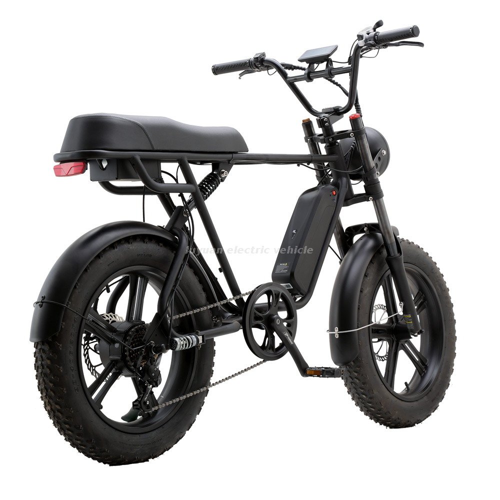 Bicicleta eléctrica Harley EH 02