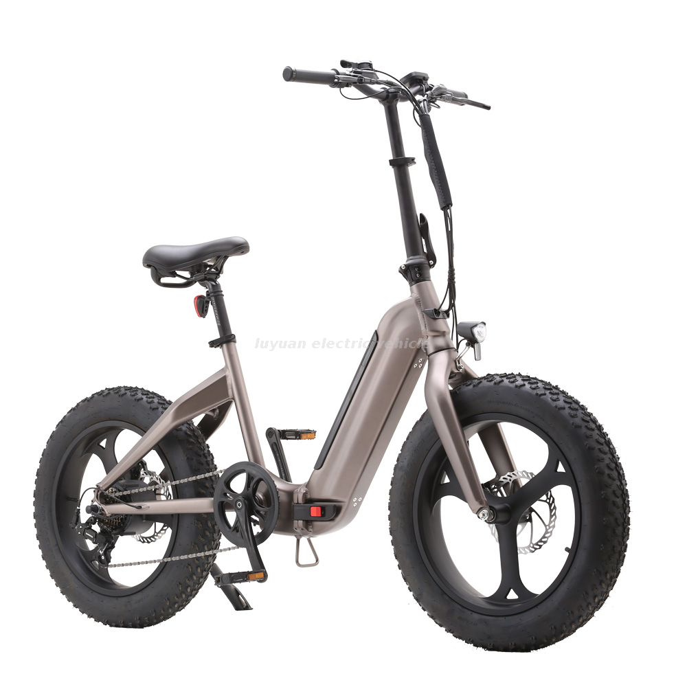Bicicleta plegable eléctrica Fat Tire FB 02